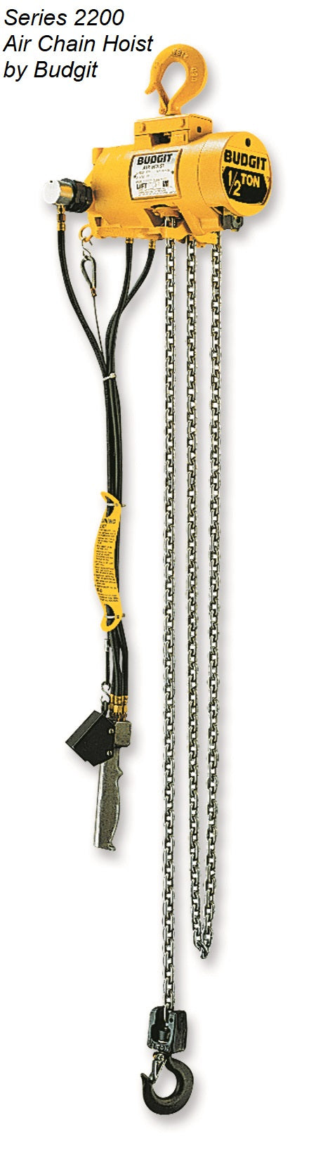 Chain Hoists by Budgit Hoist
