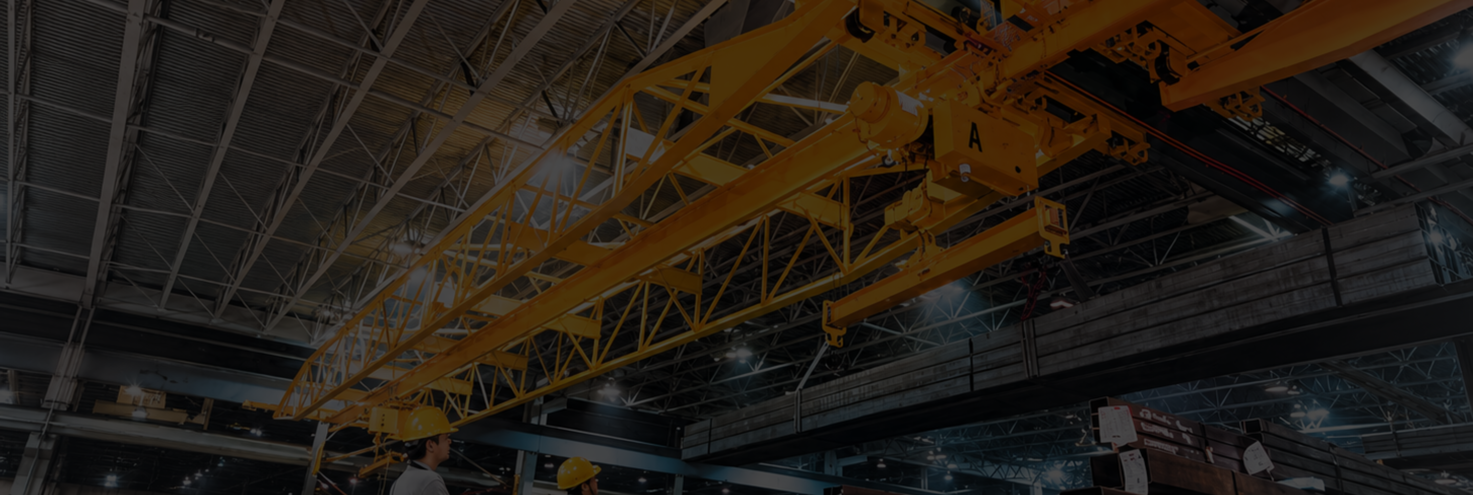 PATENTED TRACK CRANE