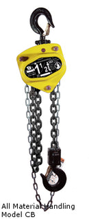 Hoists - All Types & Brands - Contact the Hoist Experts!-4