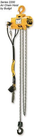 Chain Hoists by Budgit Hoist-2