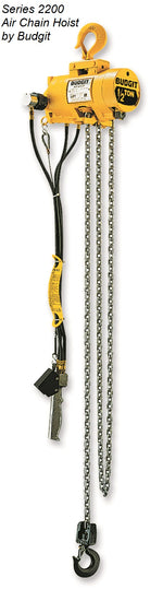 Chain Hoists by Budgit Hoist