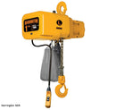 Hoists - All Types & Brands - Contact the Hoist Experts!-2