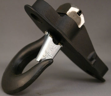 CM Hoist 3651